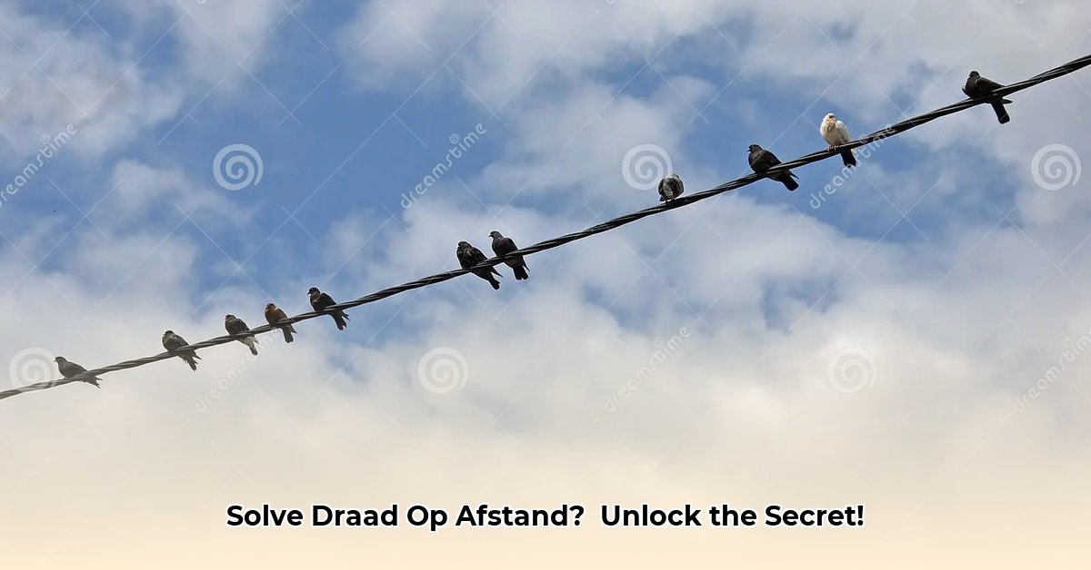 draad-op-afstand-verzamelen-8-letters